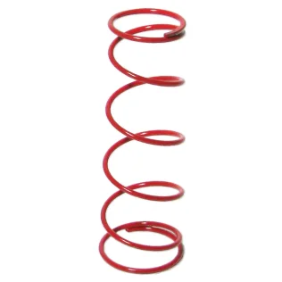 Buy 202-9 Bijur Delimon International 202/302/502 Spring Heavy Red 202-9 Bijur Delimon International 202/302/502 Spring Heavy Red